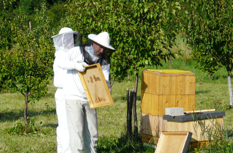 Krajský den včely pořádají v Oldřichově již tuto sobotu