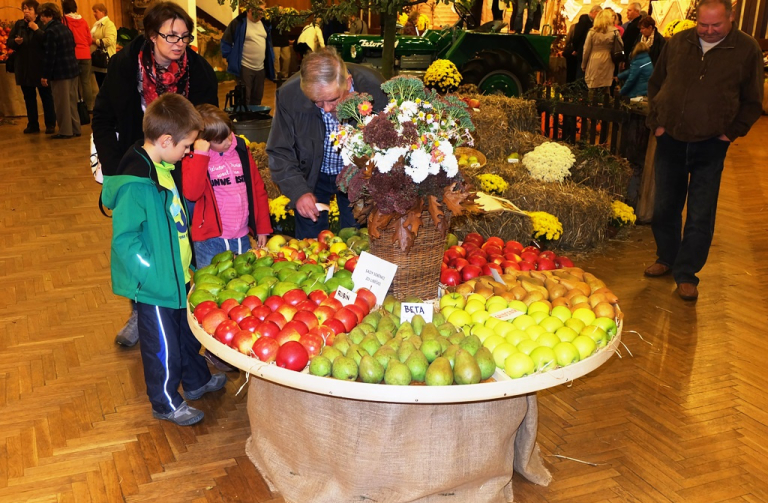 Svátek jablka v Pěnčíně